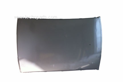 Citroen C4 Roof Panel